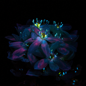 www国产偷窥❌乂视频游戏
